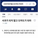 일상 [ 3월에도 눈이오나요 그것도 함박눈이요..?? ]