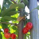 장금농장 이미지