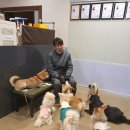 진주유치원 이미지