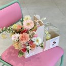 두유라이크케이크