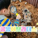 논고개로 | 서울근교 아이랑 가볼만한 곳 인천 곤충체험 굼벵이브라더스 아이랑 방문 후기