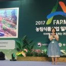 강보람고구마 이미지