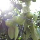 하동마을회관 이미지