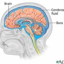 용 한의원 이미지