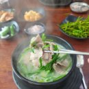 가야돼지국밥 | 일산 대화역 근처, 가야밀면돼지국밥 방문 후기