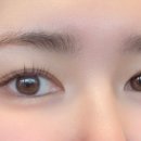 찰리브로우