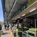 풍년종묘농약사 이미지