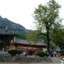 변산자연휴양림 이미지