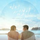위플러스메디칼 | 드라마 닥터섬보이 기본정보 | 시청률 1위 등극과 원작 논란 총정리