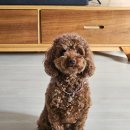 도덕산공원(야외음악당) | 수원야외음악당 산책 코스 추천 후 인계동 다룸커피 아이스카페라떼 맛집 루트 솔직 후기