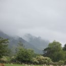 김세환 농장 | 뉴질랜드 북섬 오클랜드여행의 추억들