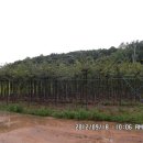 느티하우스 이미지