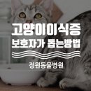 초읍동물병원 이미지