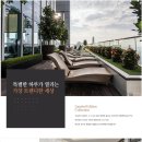 알루어 이미지