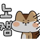 엠에스건 이미지