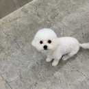 와니동물병원 이미지