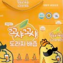 도라지야채
