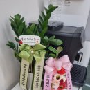 살롱드클레르