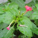 경희소금빛한의원 이미지