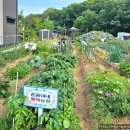 바다네농장 네이버블로그