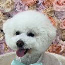 씻고놀개 이미지