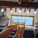 K 퓨전한옥펜션 | 고흥펜션 돌담한옥펜션 위치 분위기 솔직 후기