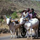 엔젤스토리 이미지