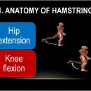 모이라짐 이미지