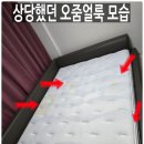 삼호세탁 | [시흥새로클린월곶점]시흥쇼파,카페트,매트리스청소업체 방배동 삼호아파트 매트리스,쇼파청소 다녀왔어요