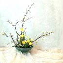 힐링 플라워 꽃꽂이 이미지