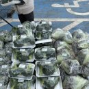 삼촌네 펜션 이미지