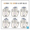 더스노우랩
