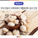 석탑 영농조합법인 이미지