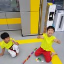 용인대 꿈누리 태권도 이미지