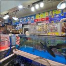 안면도수산시장(안면도장터) 네이버블로그