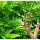 모전2리 이미지