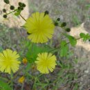 산본고등학교 이미지