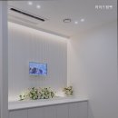 아이드림펫 네이버블로그
