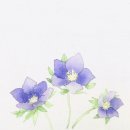 패브릭아트 수채화 이미지