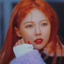 오렌지플레이스