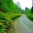 (주)지혜로운세상 이미지