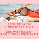 아라몰 이미지
