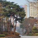 신도봉과일 | 이렇게 저렇게 그렇게 일주일을 지내게 한 채혈
