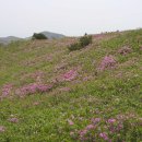 제 102차 정기 산행 안내 : 경남 합천 " 황매산(1,108m) " 이미지