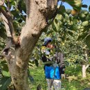 사천강1길 이미지