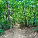 분당 중앙공원 트레킹(7월25일) 이미지