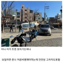 페미일러레 먹금한 원신게임에 항의한다고 인셀들이 천사백만원 모금한 비행선 실물 이미지