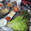 시집못간 돼지 이미지