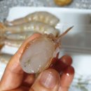 시윤농장 이미지