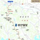 7월 5일(목)제432차 경남 고성군 성지산 갈모봉산(368m)편백나무 숲길 트레킹후 만화방초 비밀정원 수국길 탐방 이미지